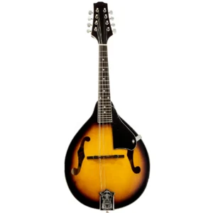 Mandolina profesional Segovia SGLMD-14